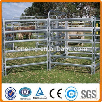 Combo Cattle & Sheep Panels 50x50 Rail